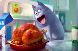 The Secret Life of Pets 2016