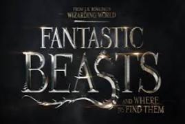 Fantastic Beasts and Where to Find